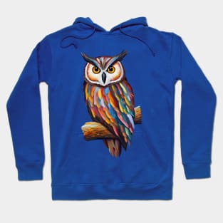 Colorful owl oilpainting Hoodie